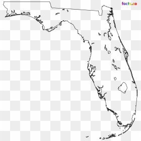 Transparent Mao Png - Plain Map Of Florida, Png Download - florida map png