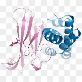 Crystal Structure Of The Complex Between A Domain Repeat - Clip Art, HD Png Download - crystal reed png