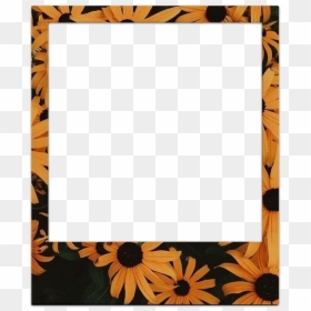 Polaroid Frame Png Hd, Transparent Png - polaroid picture png