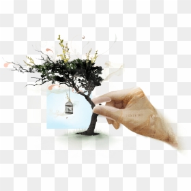 Web Design Creative Tree, HD Png Download - creative web design png