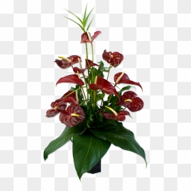 Floral Design, HD Png Download - tropical flowers png