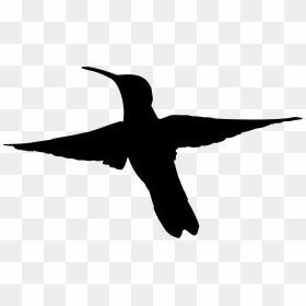 Humming Bird Flying Silhouette, HD Png Download - hummingbird png