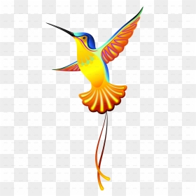 Transparent Humming Bird Png, Png Download - hummingbird png
