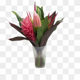 Fun Miracle Mini Tropical Centerpieces - Giant Protea, HD Png Download - tropical flowers png