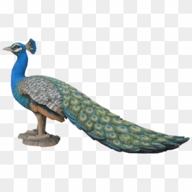 Peacock Garden Ornament, HD Png Download - peacock png