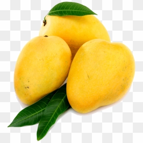 Mango Png, Transparent Png - mango vector png