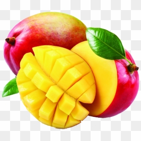 Mango Transparent Png, Png Download - mango vector png
