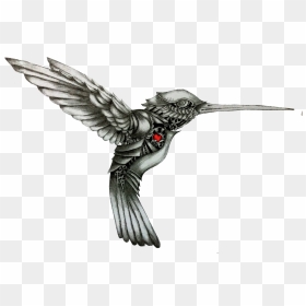 Hummingbird Drawing Tattoo Color - Black And Grey Hummingbird Tattoo, HD Png Download - hummingbird png