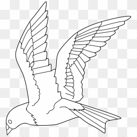 Bird Flying Clipart Black And White, HD Png Download - colorful flying birds png