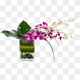 Transparent Tropical Flowers Png - Floral Design, Png Download - tropical flowers png
