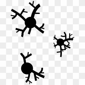Burnt Trees Clip Arts - Arbol Quemado Png, Transparent Png - burnt paper png