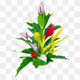 April Fool In Telugu, HD Png Download - tropical flowers png