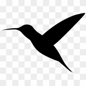 Rufous Hummingbird, HD Png Download - hummingbird png