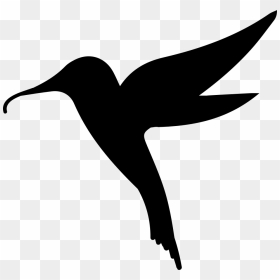 Hummingbird Bird Shape - Siluet Burung Kolibri, HD Png Download - hummingbird png