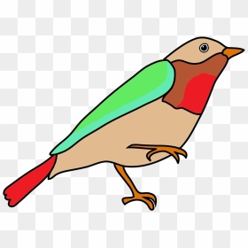 Dendroica Colored Fantasy Colors - Easy Simple Bird Drawing With Color, HD Png Download - colorful flying birds png