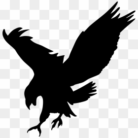 Eagle Flying Png Black And White No Background - White Eagle Black Background, Transparent Png - flying cloth png
