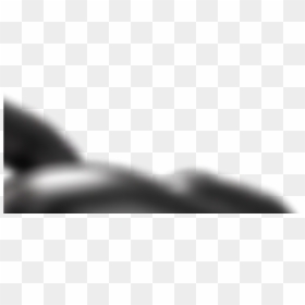 Dog, HD Png Download - picsart lens png