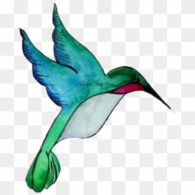 Humming Bird Png, Transparent Png - hummingbird png