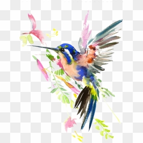 Watercolor Painting Drawing Hummingbird Download Hq - Hummingbird Watercolour, HD Png Download - hummingbird png