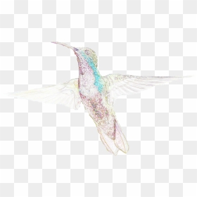 Do Your Part For Hummingbirds On National Hummingbird, HD Png Download - hummingbird png