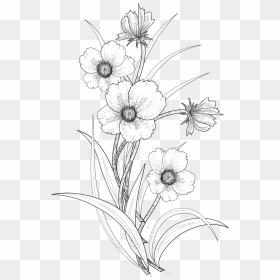 Thumb Image - Line Drawing Flower Illustration, HD Png Download - flower bokeh images png