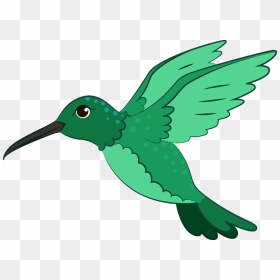 Hummingbird Clipart, HD Png Download - hummingbird png