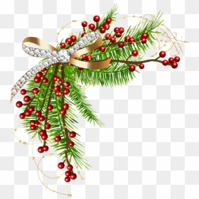 Christmas Illustration, Christmas Clipart, Winter Christmas, - Christmas Pine Transparent Background, HD Png Download - merry christmas decoration png