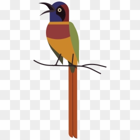 Clip Art, HD Png Download - colorful flying birds png