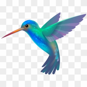 Image Detail For -colorful Hu - Hummingbird Clipart, HD Png Download - colorful flying birds png