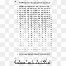 Document, HD Png Download - arrow marks png