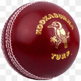Cricket Ball Png - Kookaburra Cricket Ball, Transparent Png - white cricket ball png