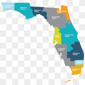 Florida East Gulf Coastal Plain Map , Png Download - Florida 2018 Election Map, Transparent Png - florida map png