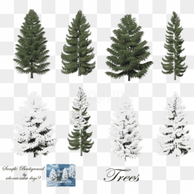 Free Png Download Fir-tree Free Png Images Background - Snow On Trees Photoshop, Transparent Png - tree plan png free download