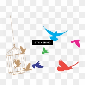 Transparent Cage Png - Bird Cage Clipart Png, Png Download - colorful flying birds png