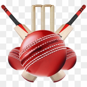 Cricket Bat Ball Logo, HD Png Download - cricket bat and ball png