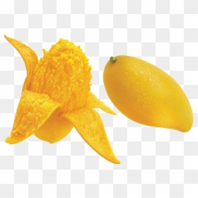 Mango Seed Png, Transparent Png - mango vector png