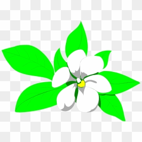 Sampaguita Drawing At Getdrawings - Sampaguita Clipart, HD Png Download - mogra png