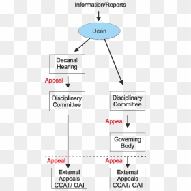 Flow Chart Of Non-academic Disciplinary Procedures - Flow Chart For Disciplinary Procedures, HD Png Download - chart png