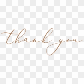 Thankyou - Calligraphy, HD Png Download - thankyou png