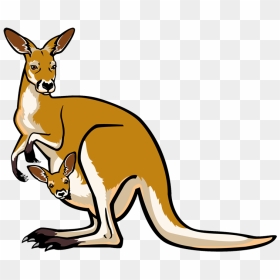 Joey Kangaroo Background Png - Clip Art Kangaroo, Transparent Png - kangaroo png