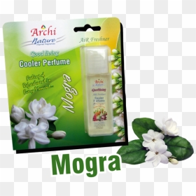 Gardenia, HD Png Download - mogra png