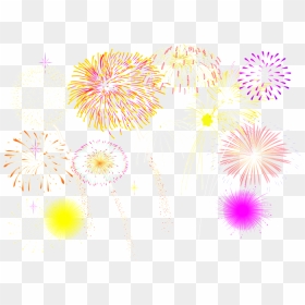 Various Colors Of Fireworks New Year Png - New Year Fireworks Vector, Transparent Png - colorful floral design png