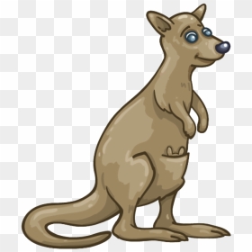 Kangaroo Wallaby Png Clipart - Wallabee Wallaby, Transparent Png - kangaroo png