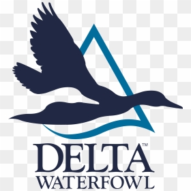 Delta Waterfowl Logo, HD Png Download - delta logo png