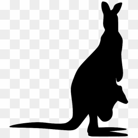 Free Images On Pixabay - Kangaroo Silhouette, HD Png Download - kangaroo png