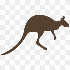 Kangaroo Png And Psd Free Download - Huge Kangaroo Clipart, Transparent Png - kangaroo png