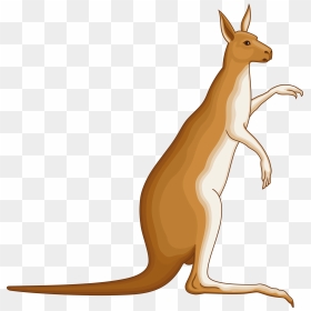 Kangaroo 4 Clip Arts - Australian Coat Of Arms Kangaroo, HD Png Download - kangaroo png