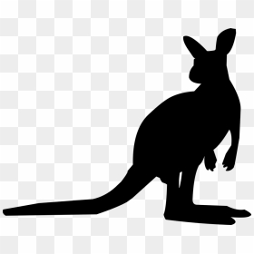 Kangaroo Silhouette, HD Png Download - kangaroo png