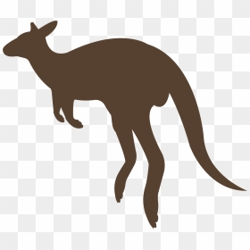 Kangaroo Outline Brown, HD Png Download - kangaroo png