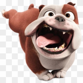 Luiz The Bulldog Crazy Run - Bulldog Rio, HD Png Download - run png